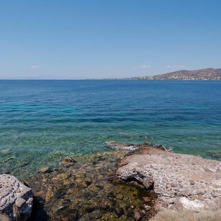 Absolute Perdika Aegina Villa Eksteriør bilde
